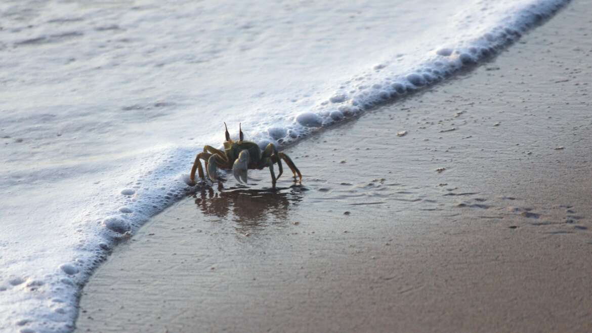 Fin de saison 2025 exceptionnelle !!!