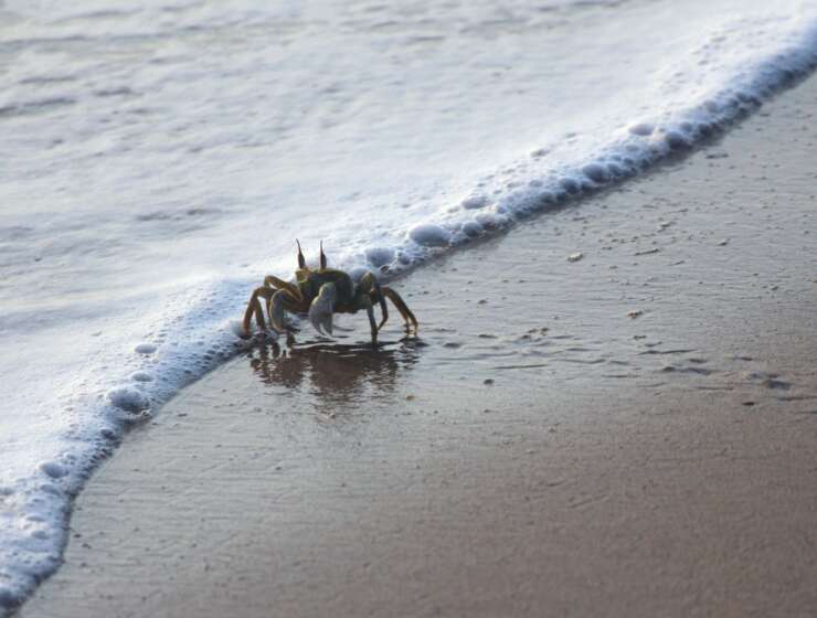 Fin de saison 2025 exceptionnelle !!!