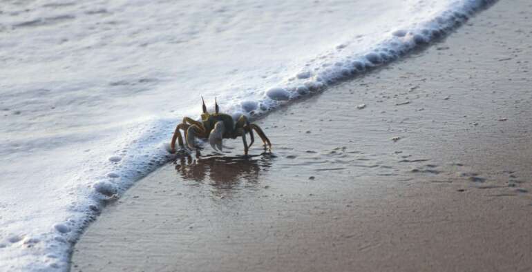 Fin de saison 2025 exceptionnelle !!!